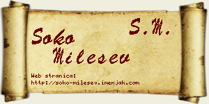 Soko Milešev vizit kartica
